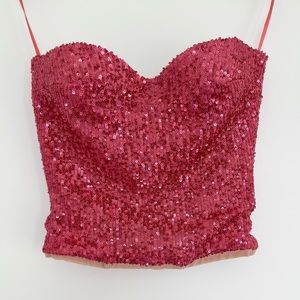 Elisabetta Franchi Sequin Embellished Bustier Top in Pink